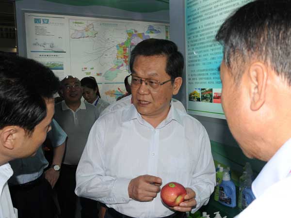 滚球买球的app官网