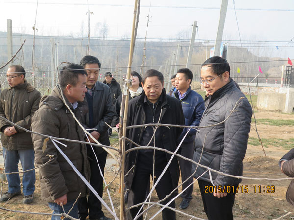 滚球买球的app官网