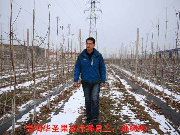 滚球买球的app官网