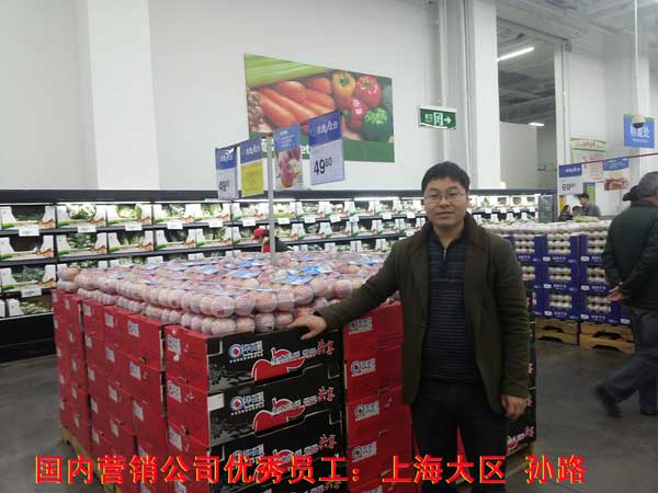 滚球买球的app官网