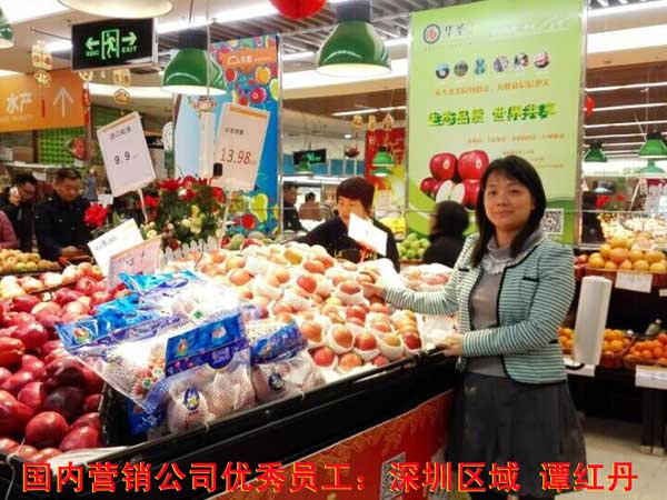 滚球买球的app官网