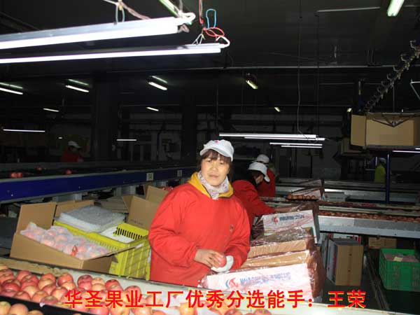 滚球买球的app官网