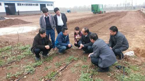 滚球买球的app官网