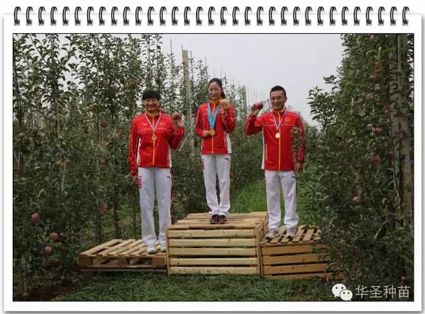 滚球买球的app官网