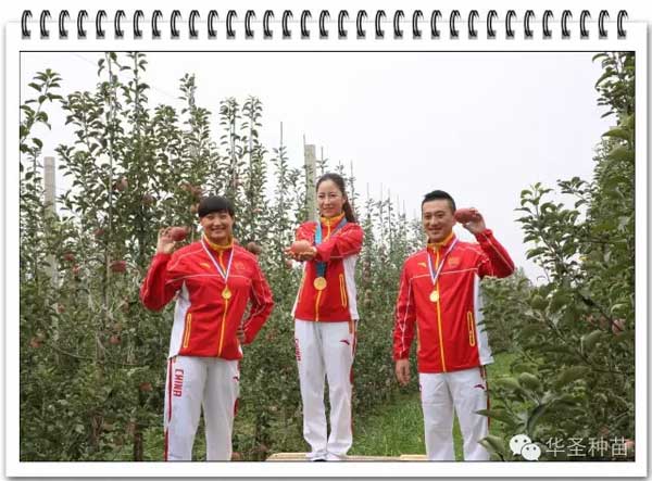 滚球买球的app官网