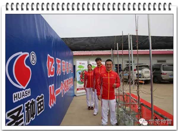 滚球买球的app官网