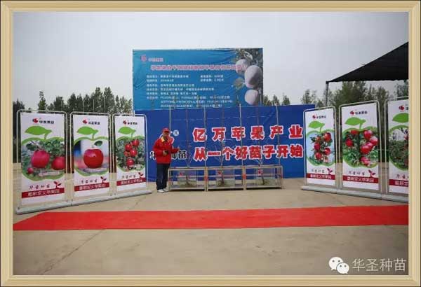 滚球买球的app官网