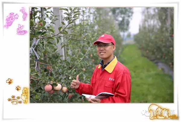 滚球买球的app官网