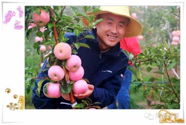 滚球买球的app官网