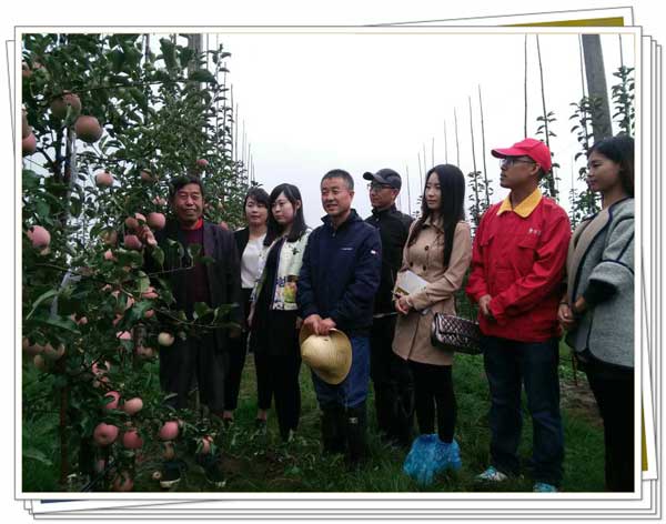 滚球买球的app官网