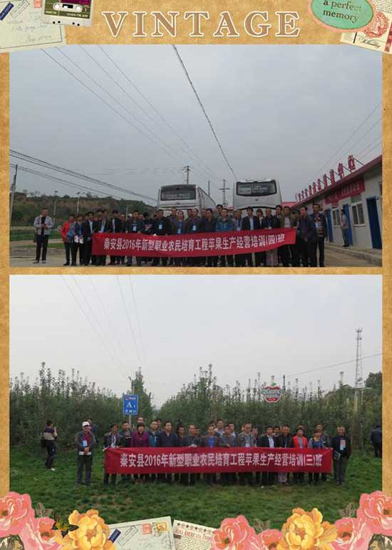 滚球买球的app官网