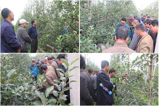 滚球买球的app官网