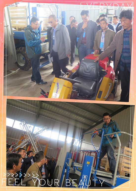 滚球买球的app官网