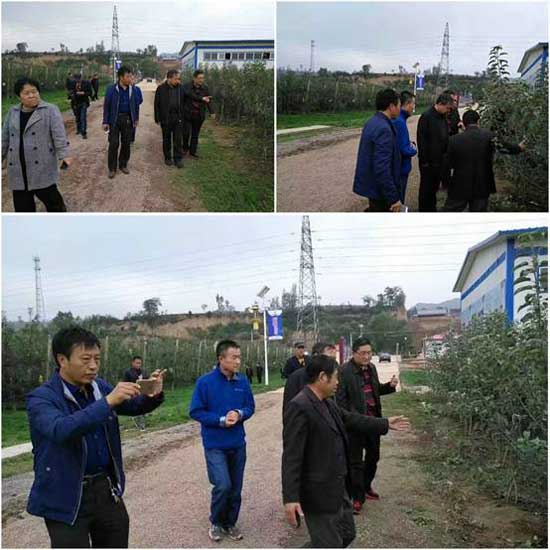 滚球买球的app官网