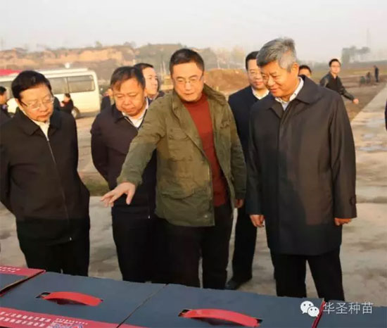 滚球买球的app官网