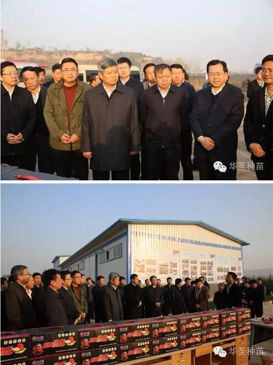 滚球买球的app官网