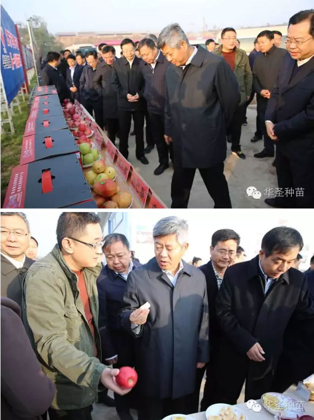 滚球买球的app官网
