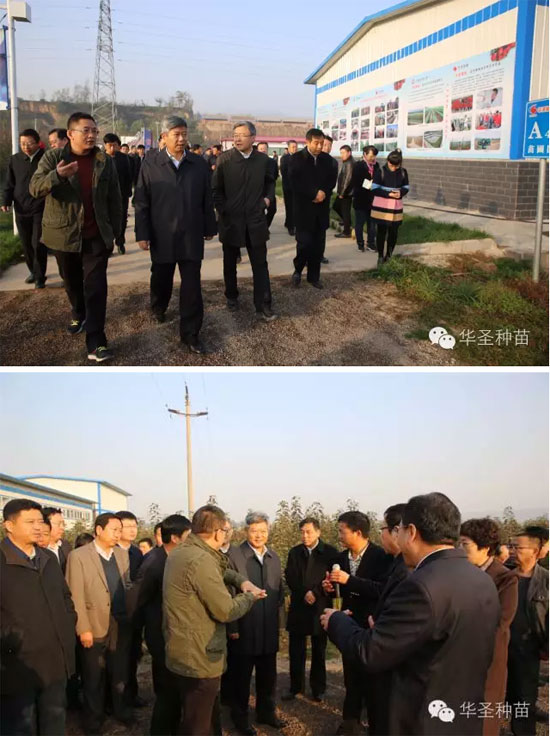 滚球买球的app官网