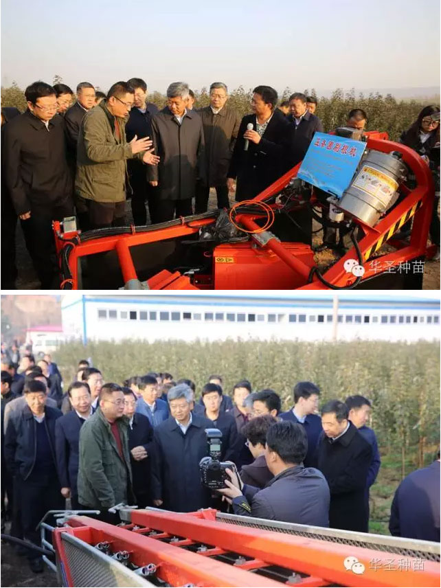 滚球买球的app官网
