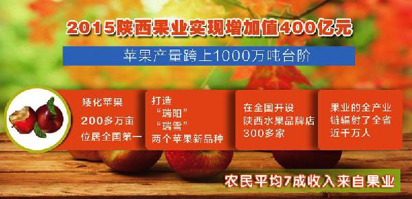 滚球买球的app官网