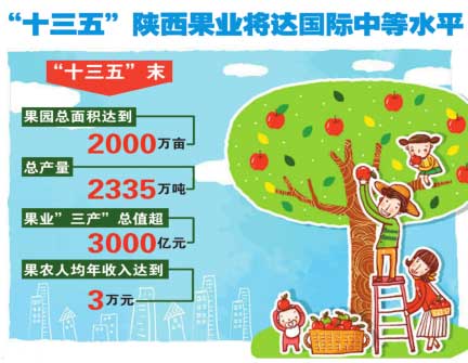 滚球买球的app官网