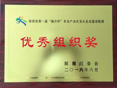 滚球买球的app官网