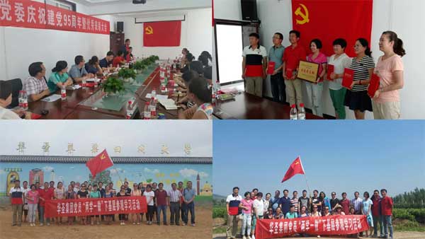 滚球买球的app官网