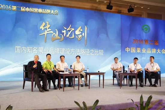 滚球买球的app官网