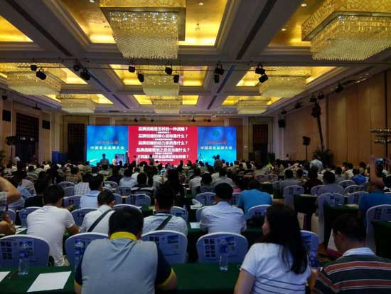 滚球买球的app官网