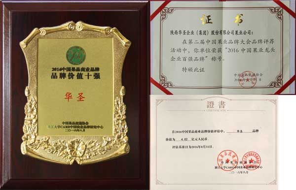 滚球买球的app官网