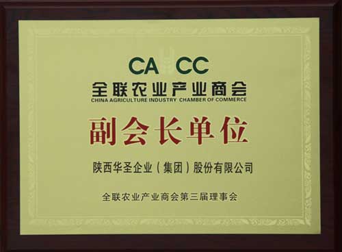 滚球买球的app官网