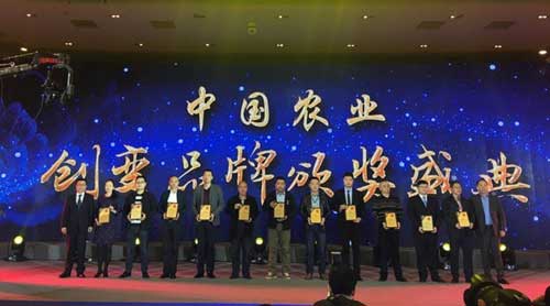 滚球买球的app官网