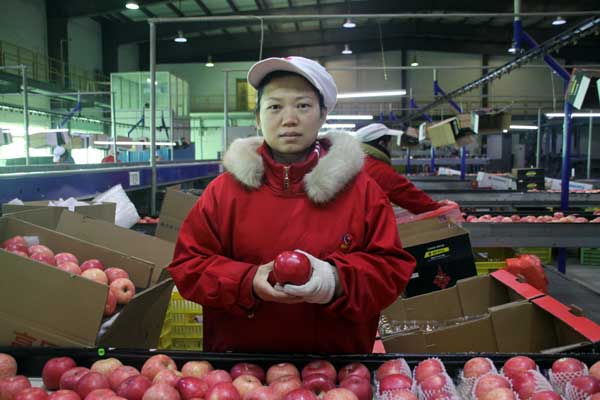 滚球买球的app官网