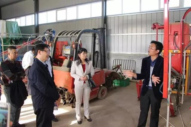 滚球买球的app官网