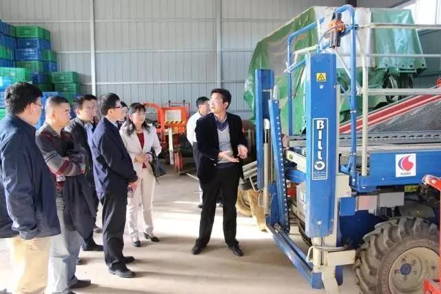 滚球买球的app官网