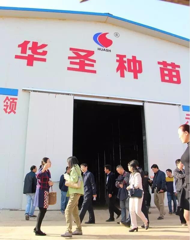 滚球买球的app官网
