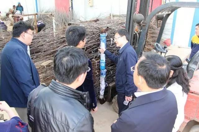 滚球买球的app官网
