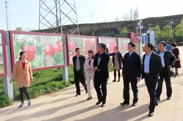 滚球买球的app官网