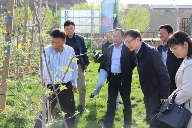 滚球买球的app官网
