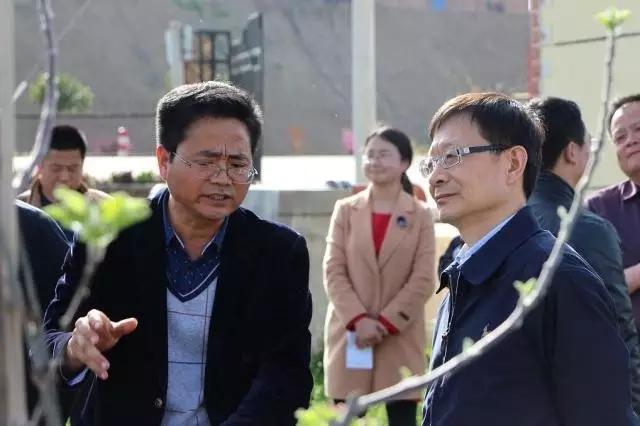 滚球买球的app官网