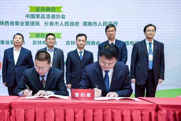 滚球买球的app官网