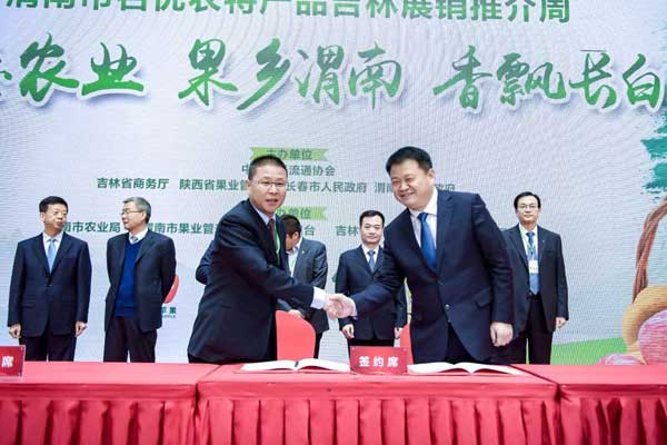 滚球买球的app官网