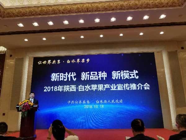 滚球买球的app官网