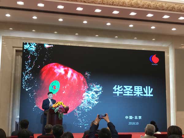 滚球买球的app官网