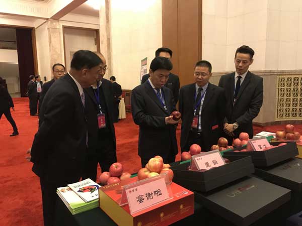 滚球买球的app官网