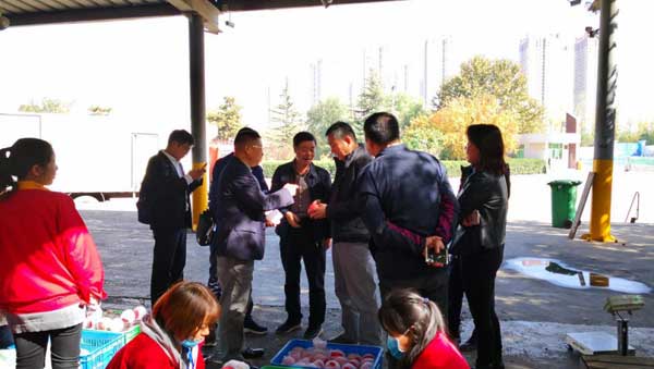 滚球买球的app官网