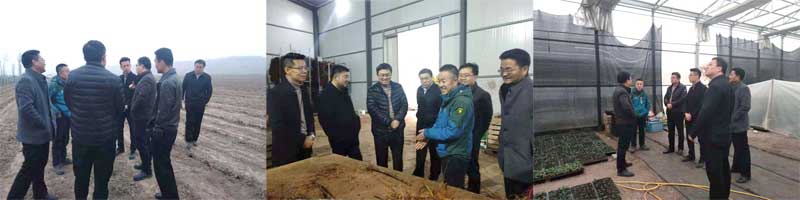 滚球买球的app官网