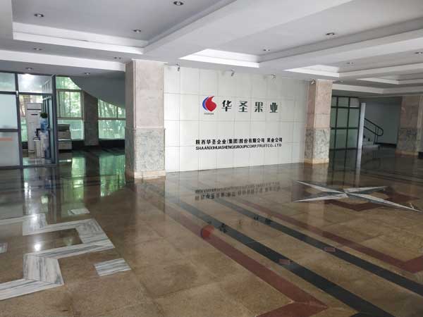 滚球买球的app官网