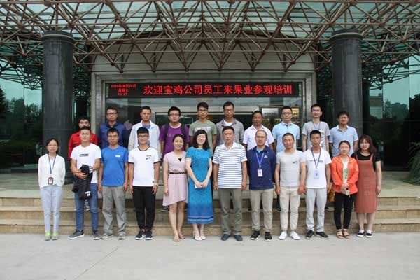 滚球买球的app官网