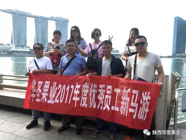 滚球买球的app官网